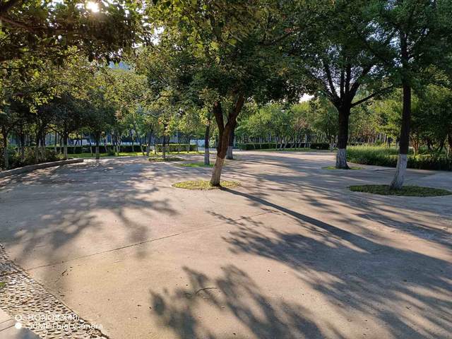 轻薄高颜值，实力均衡的千元机荣耀X40 i评测