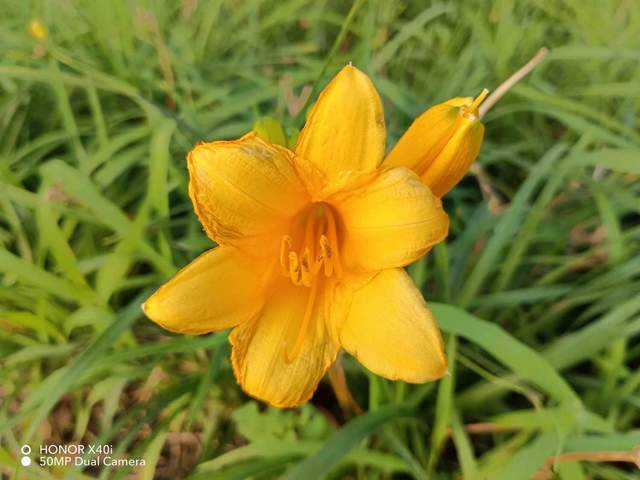 轻薄高颜值，实力均衡的千元机荣耀X40 i评测