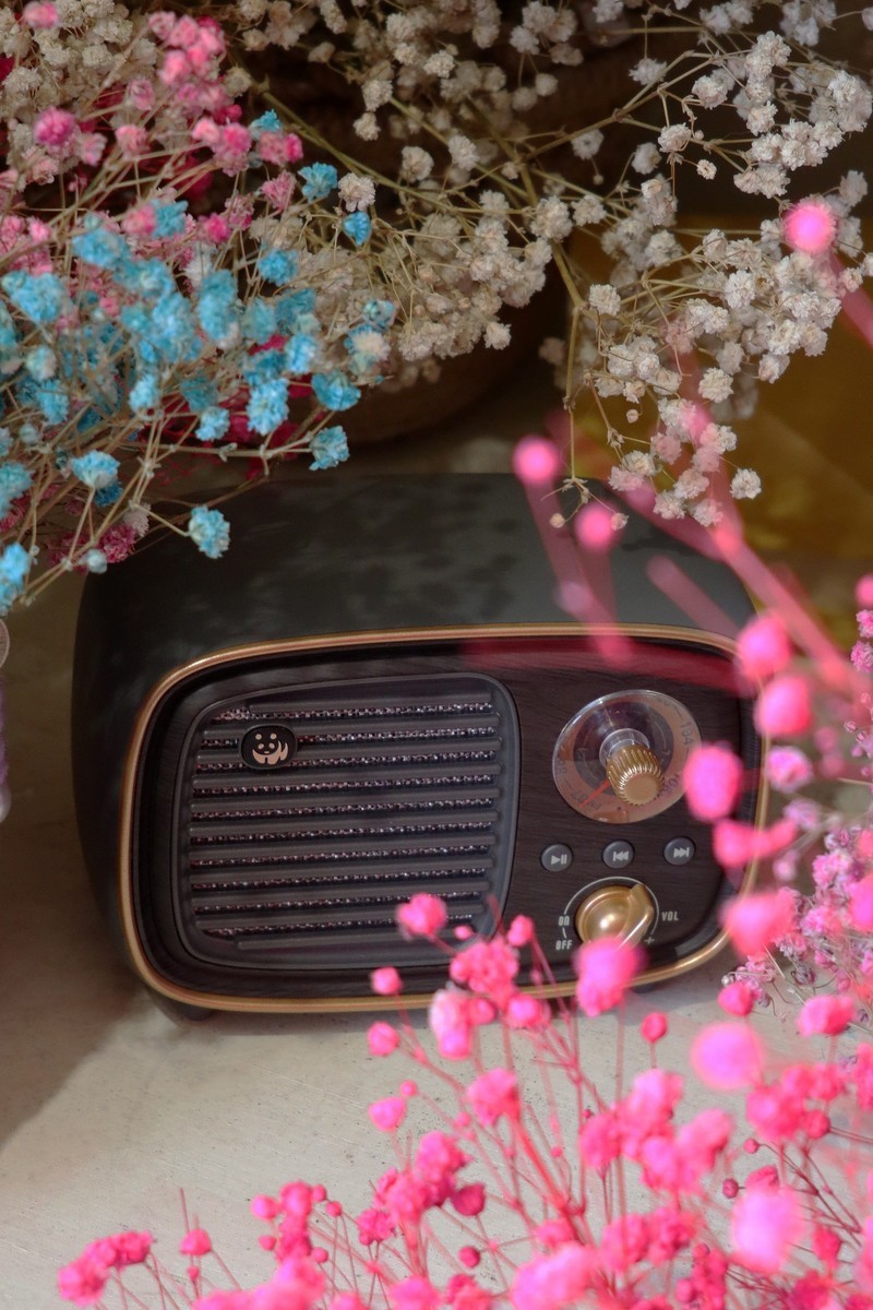 复古造型与高新科技的结合——熊猫D-36复古收音机蓝牙音箱体验