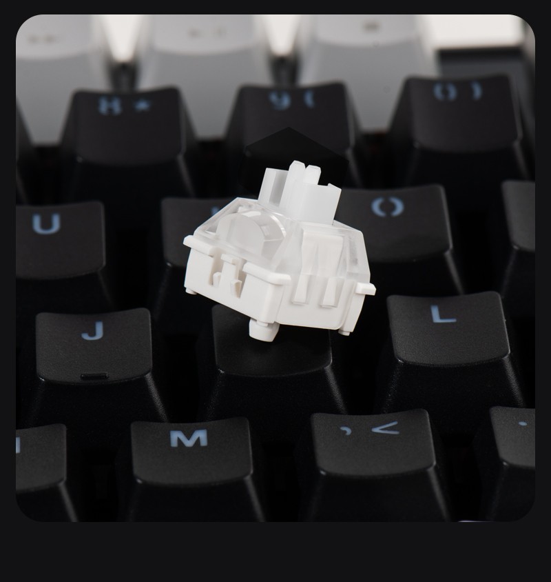 光轴之父岂止光轴，快来看看瑞翼鲨的新轴体