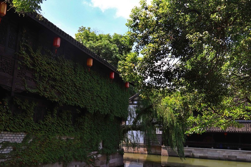 游览浙江绍兴柯桥的鲁镇