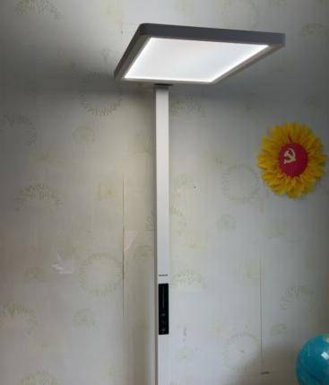 2024护眼大路灯十大文明用语排行榜出炉，综合实力遥遥领先！