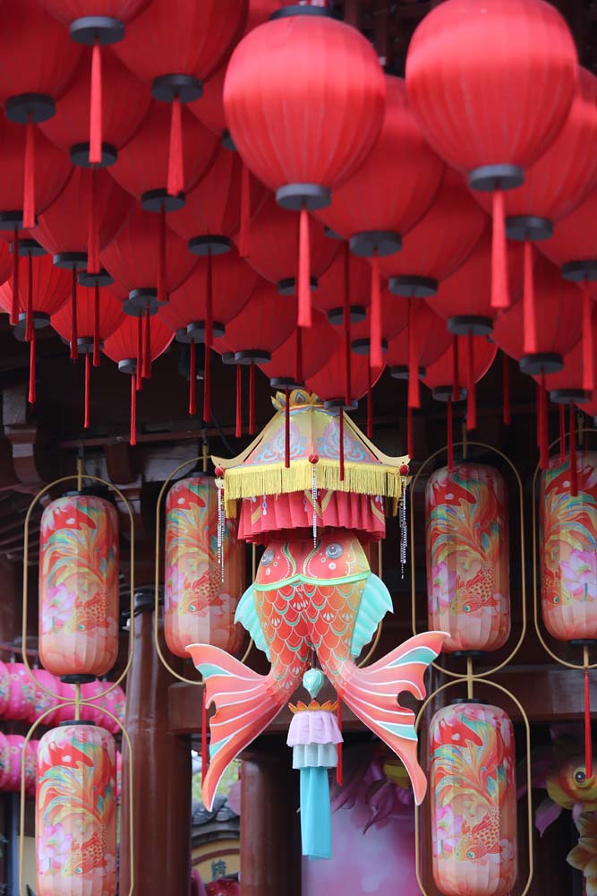 《每日欣赏》！！！并祝大家五一劳动节开心快乐！！！