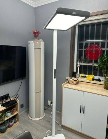 2024护眼大路灯十大文明用语排行榜出炉，综合实力遥遥领先！