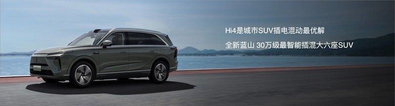 两个配置任选，魏牌全新蓝山29.98万元起