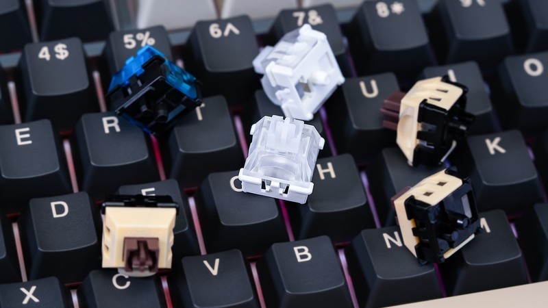 外设行业新热点，瑞翼鲨磁轴成香港展中外客商宠儿