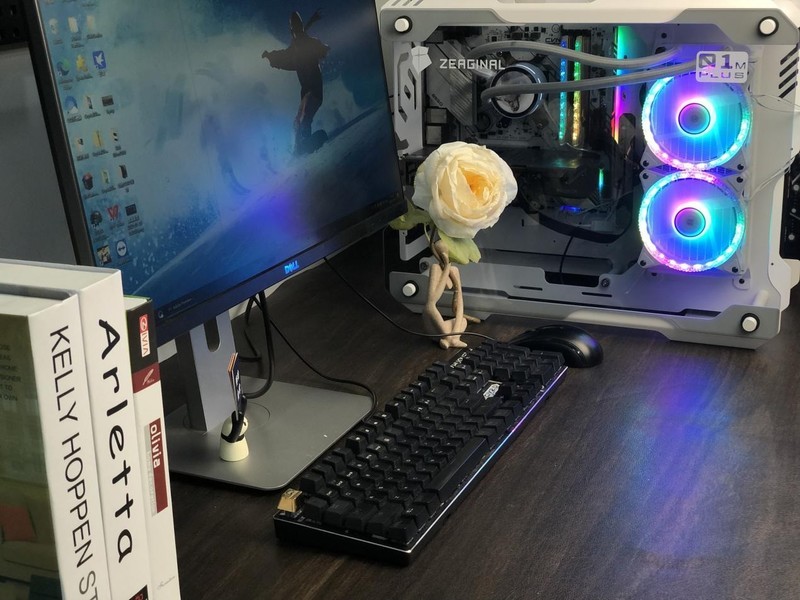 冬季暖物，实用主义玩家喜提“一户一墩”