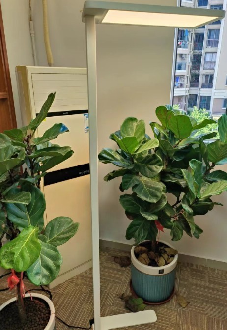 大路灯上下发光有用吗？靠谱的led路灯推荐