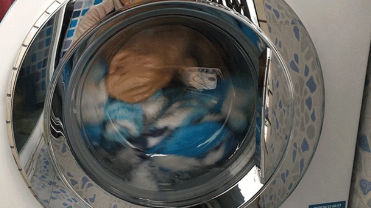 热门内衣洗衣机综合大测评！希亦、小吉、dailyneaty哪款更好用？