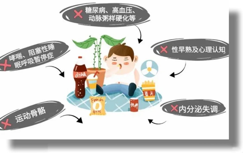 为健康三款八电极高端体脂秤怎么选？云康宝、小米、华为你更钟意谁？！