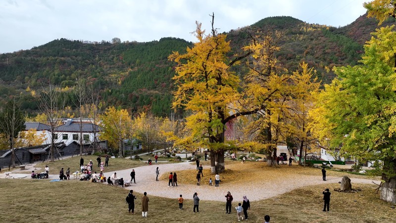 甘肃省陇南徽县田河风光