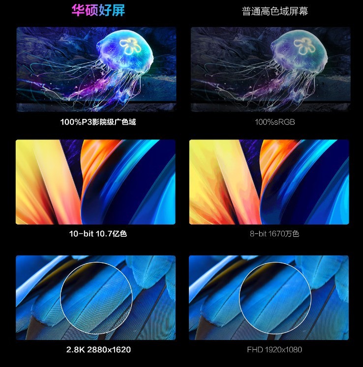 打响好屏第一枪，深度诠释全能本定义，华硕无畏Pro15 2022高性能轻薄本