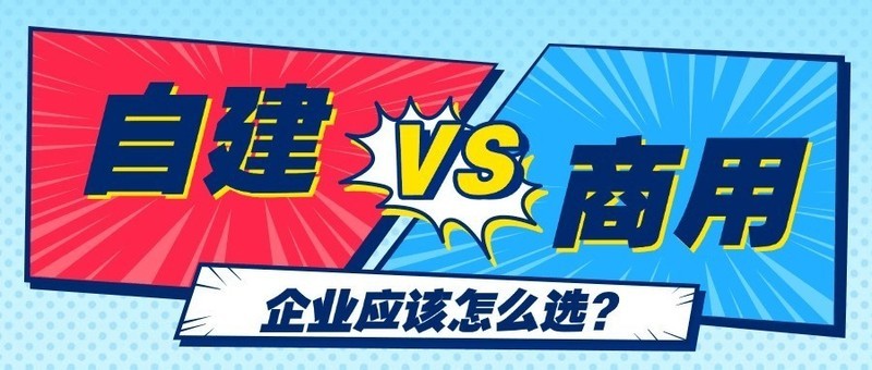 自建内网穿透 vs 商用方案，谁更划算？