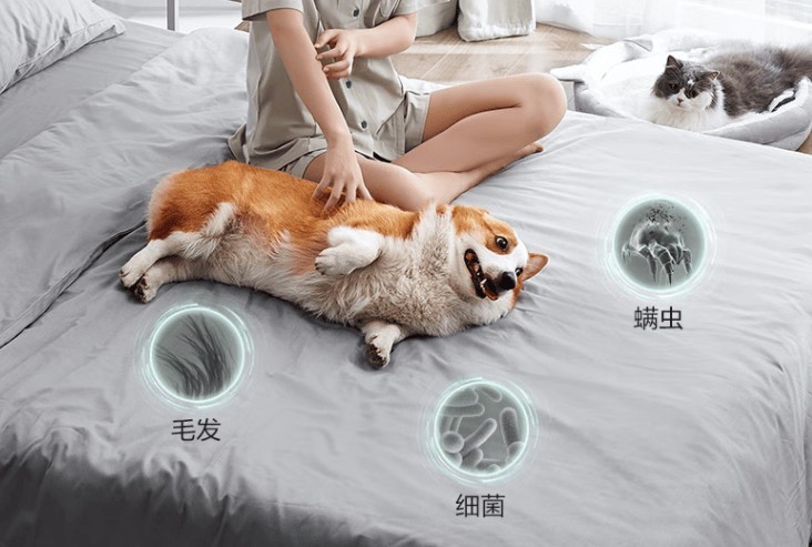 除螨仪哪个品牌最好最实用？2025年最值得入手的5款除螨仪推荐！