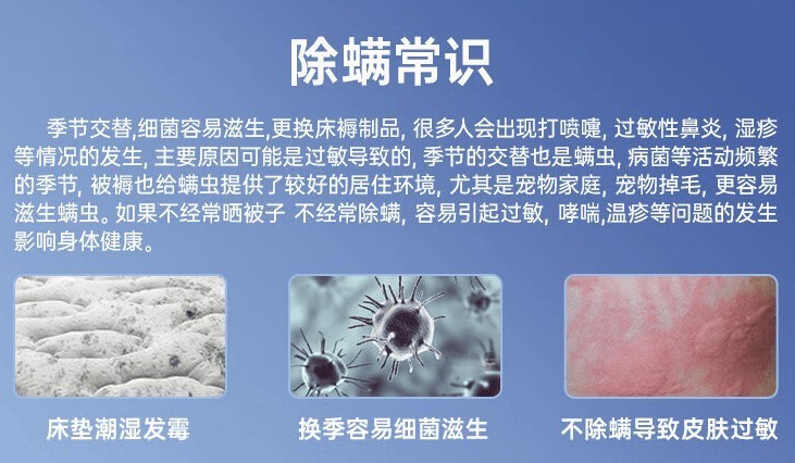 除螨仪哪个最好用？2025年5款口碑好的除螨仪品牌盘点！必入！