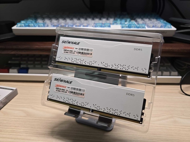 新一代“卷王”！实战枭鲸审判者DDR5内存 5600 32G内存超频！