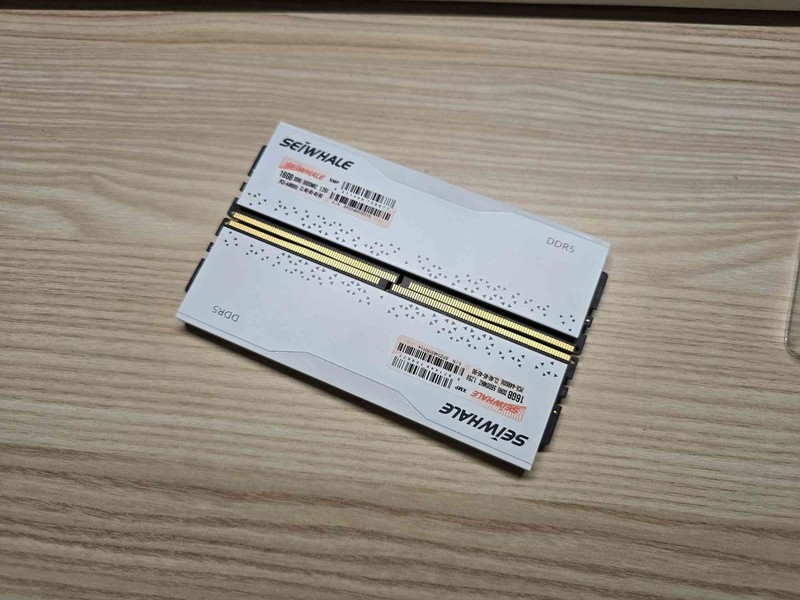 新一代“卷王”！实战枭鲸审判者DDR5内存 5600 32G内存超频！