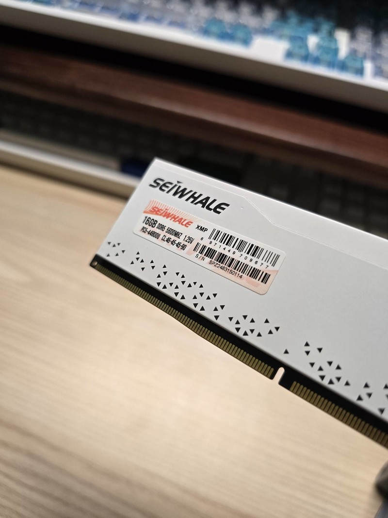 新一代“卷王”！实战枭鲸审判者DDR5内存 5600 32G内存超频！