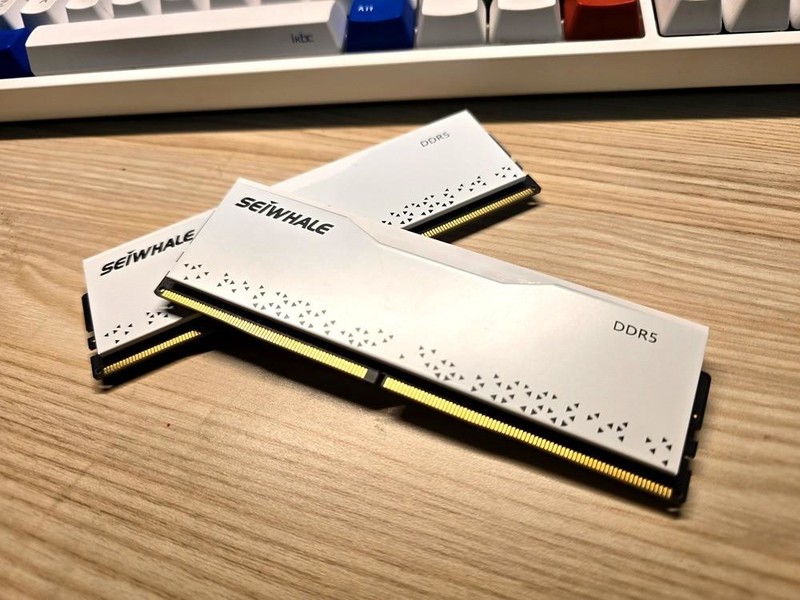 新一代“卷王”！实战枭鲸审判者DDR5内存 5600 32G内存超频！