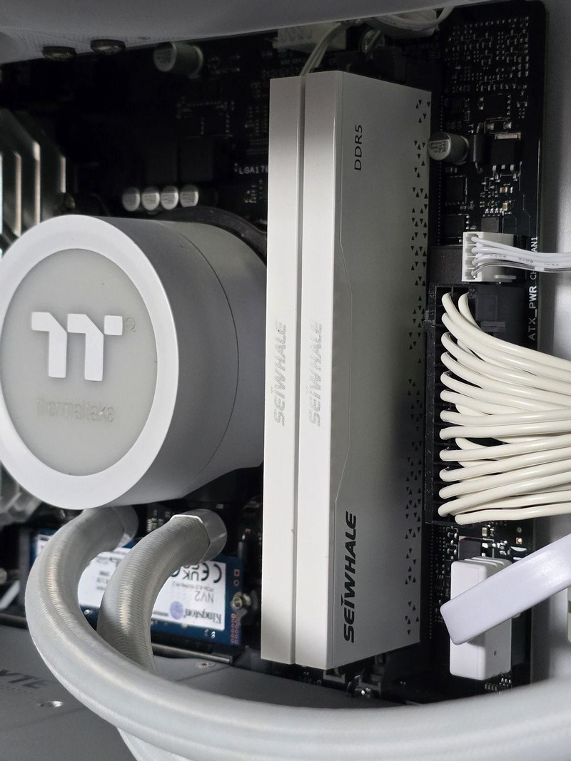 新一代“卷王”！实战枭鲸审判者DDR5内存 5600 32G内存超频！