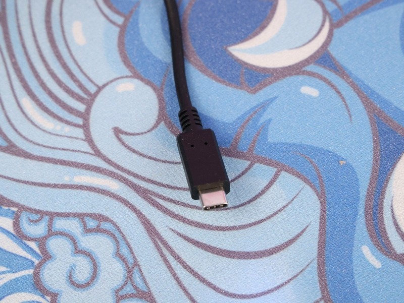 XBOX NS皆开颜 奕狐失落遗迹手柄体验