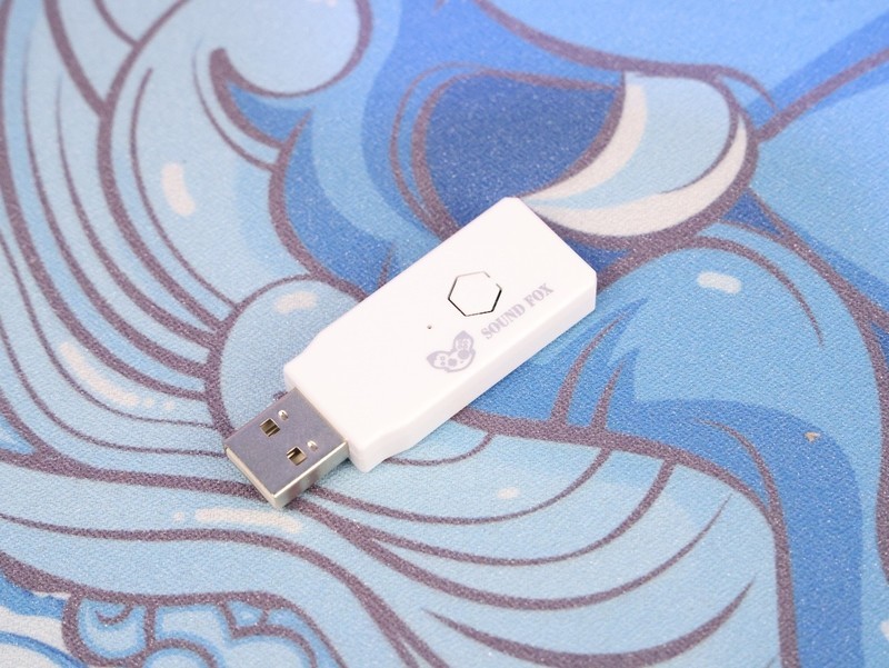 XBOX NS皆开颜 奕狐失落遗迹手柄体验