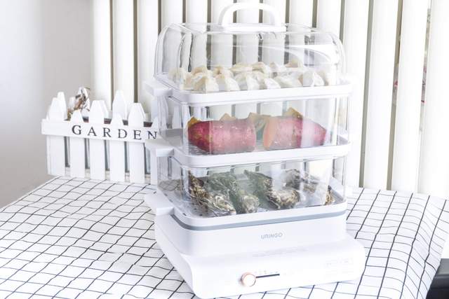 还在用不锈钢蒸锅？用了这款透明电蒸锅才明白，蒸锅还能这么用