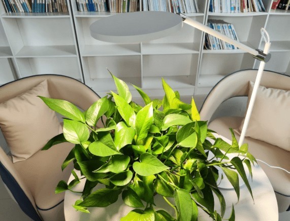 儿童学生选什么台灯比较好？适合儿童学生的台灯