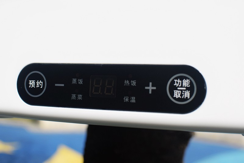 能蒸能煲能炖能煮米饭 雷格斯多功能电加热饭盒