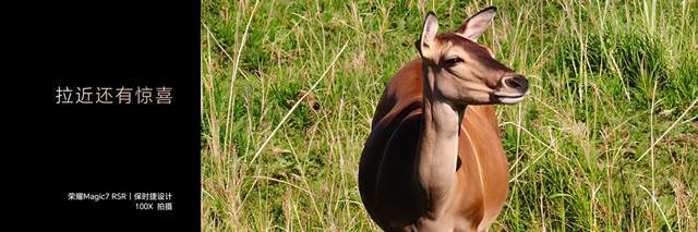 荣耀Magic7 RSR保时捷设计发布，大王影像发力荣耀Magic7系列