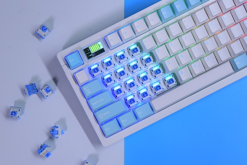 退烧级神器——达尔优A98 Pro弹力臂gasket结构机械键盘