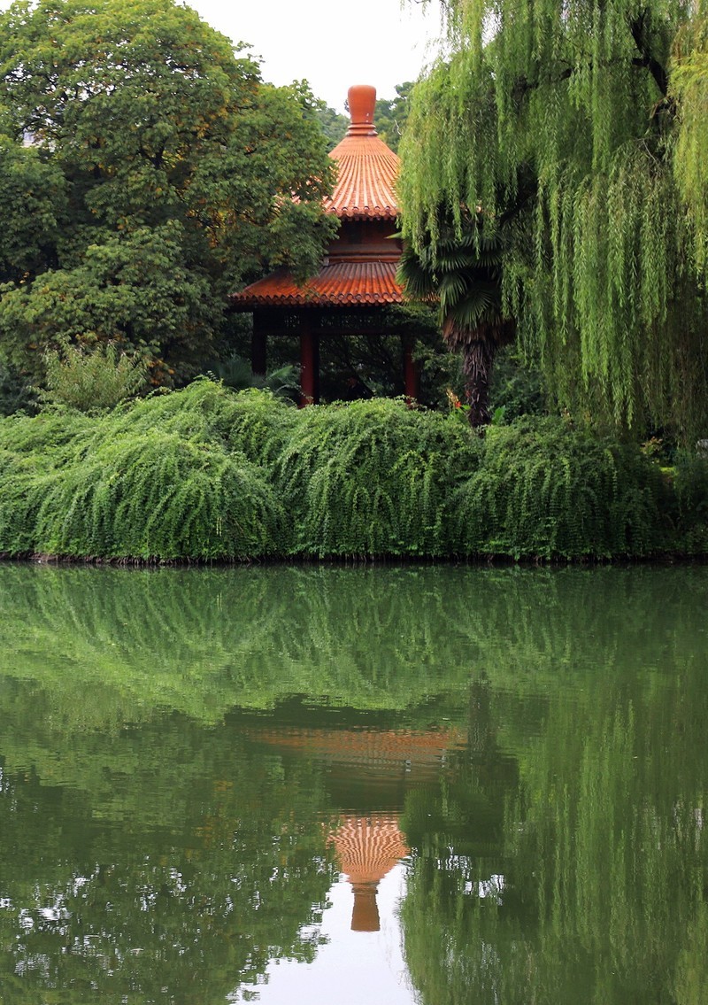 西苑公园3