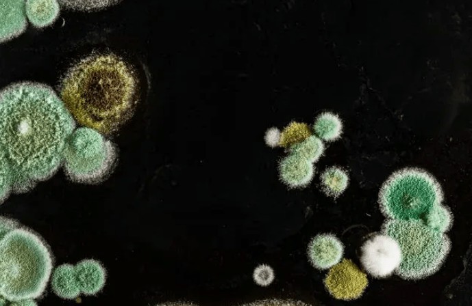 小洗衣机是坑人的吗？需要提防五大坏处弊病