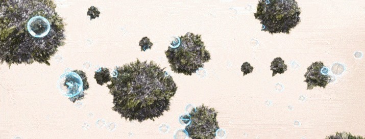 什么牌子的除螨仪效果最好？2025年10款高性价比的除螨仪排行榜！