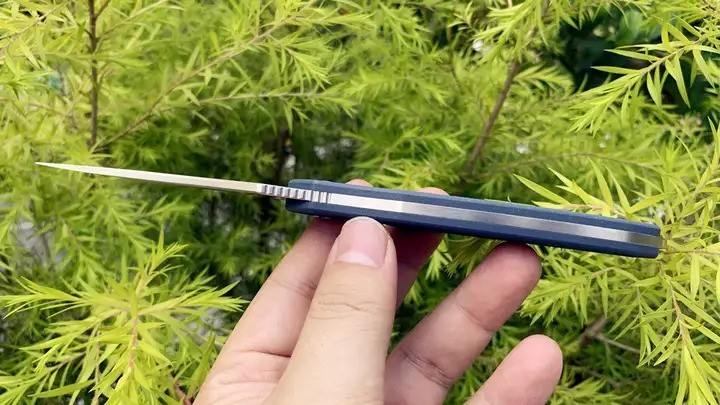 荒野求生时，它才是真”鲨手锏“，悍迪鲨鱼户外刀