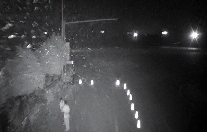 太阳能板技术解析：单晶硅VS多晶硅，户外监控续航差异全解读，格行视精灵智能监控