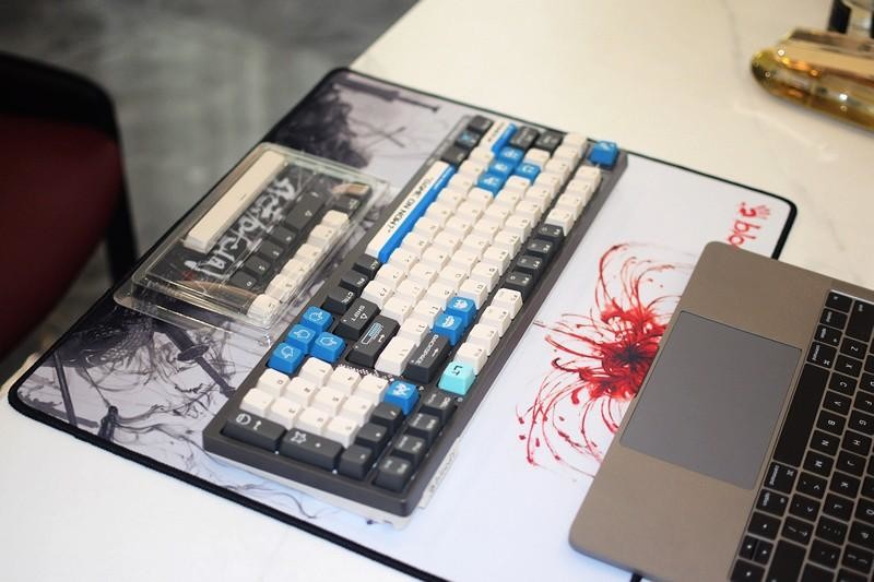 免驱RT功能 阿尔法光轴 双飞燕像素大战AT98重新定义变速光轴