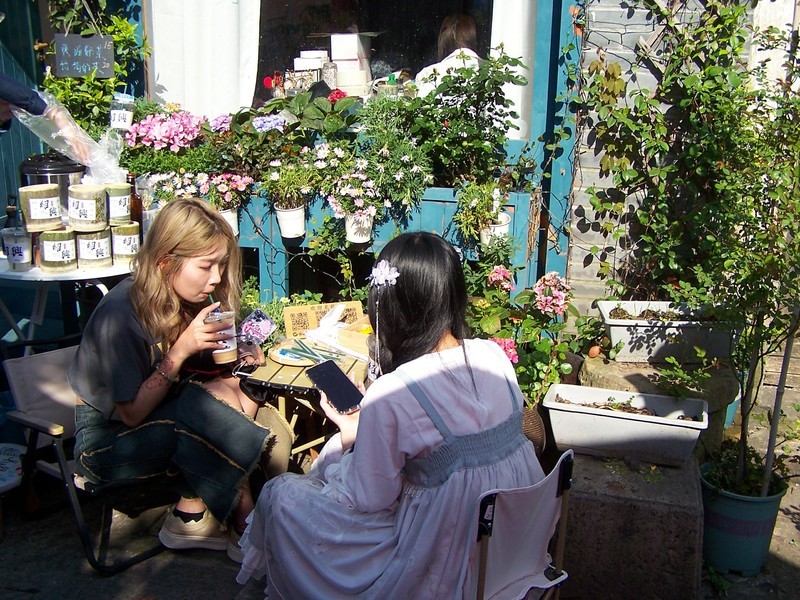 ccd机镜头里的游人