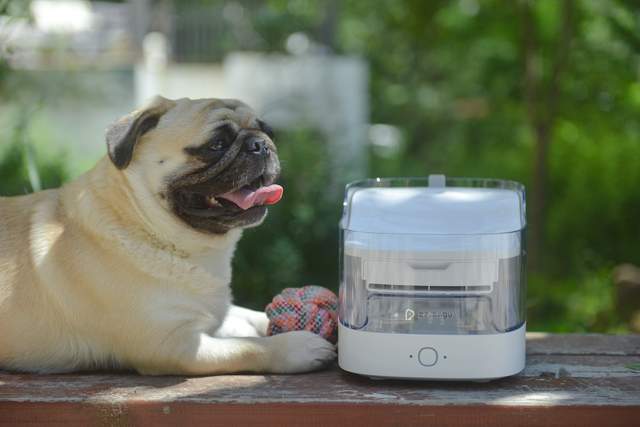 关注宝子健康饮水，一步GET居家幸福主旋律宠~咕咕宠物智能饮水机