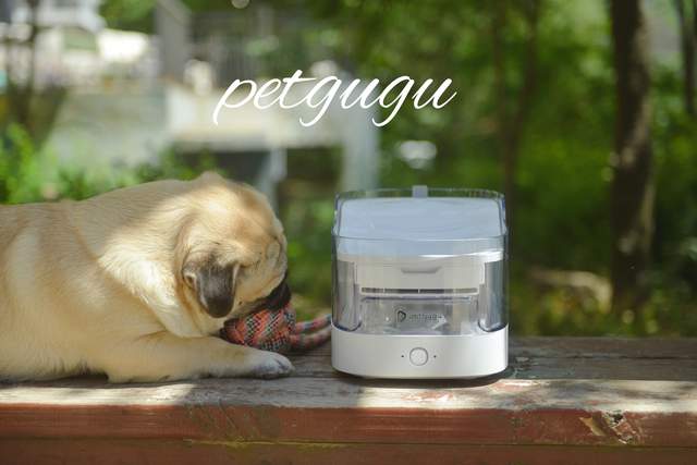 关注宝子健康饮水，一步GET居家幸福主旋律宠~咕咕宠物智能饮水机