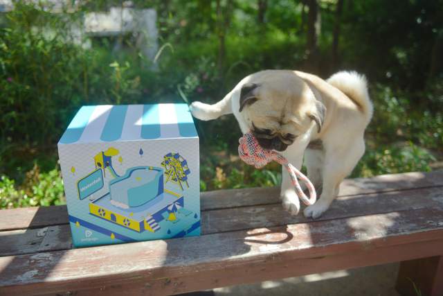 关注宝子健康饮水，一步GET居家幸福主旋律宠~咕咕宠物智能饮水机