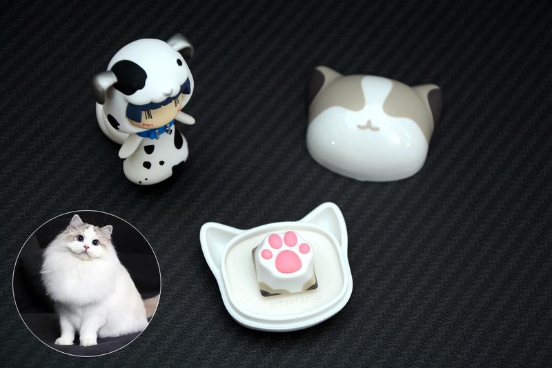 一起到键盘上来吸猫，ZOMO PLUS二代多色猫爪键帽开箱