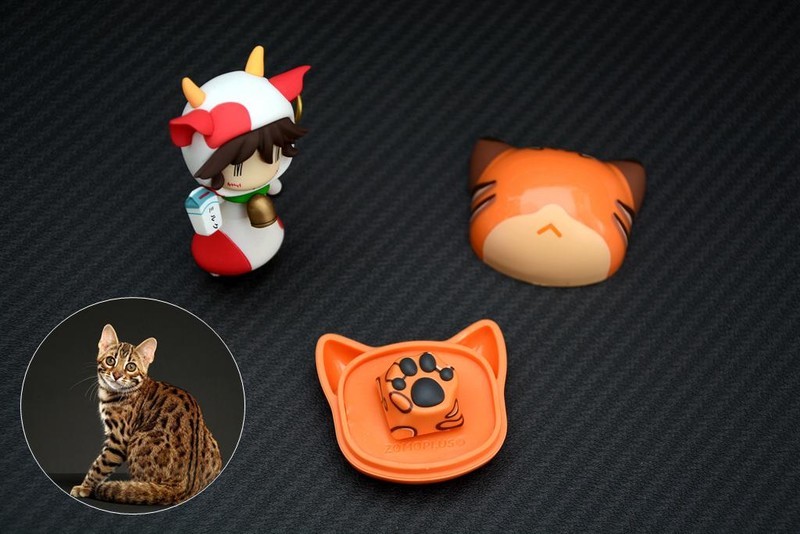 一起到键盘上来吸猫，ZOMO PLUS二代多色猫爪键帽开箱