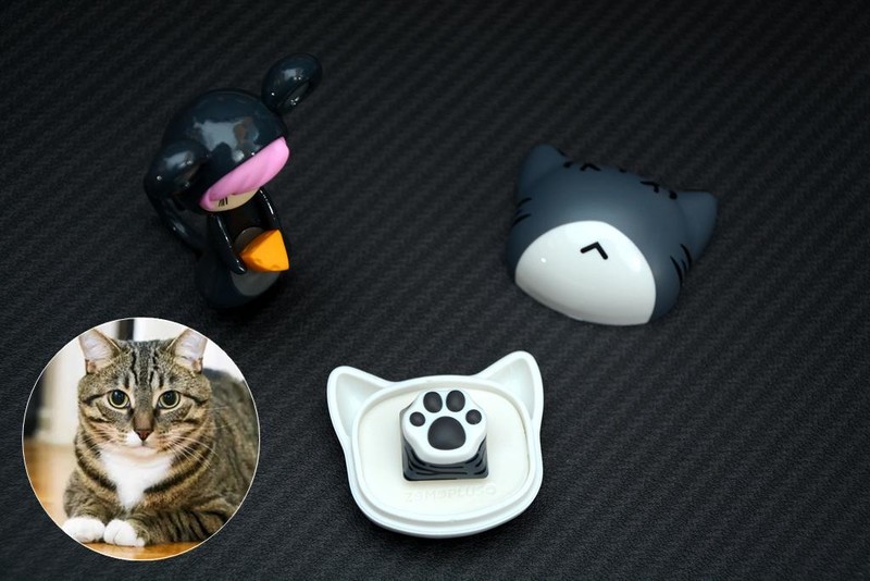 一起到键盘上来吸猫，ZOMO PLUS二代多色猫爪键帽开箱