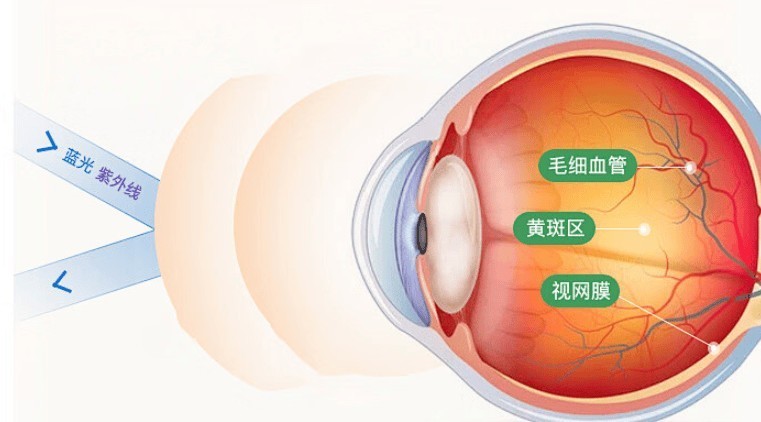 护眼大路灯哪个牌子好？5款好评度高的护眼大路灯盘点