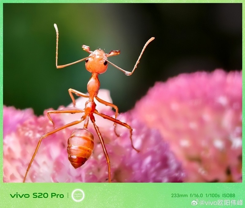 惊艳配色，更有多项旗舰配置！vivo S20系列今晚将漂亮登场