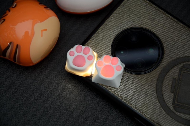 一起到键盘上来吸猫，ZOMO PLUS二代多色猫爪键帽开箱