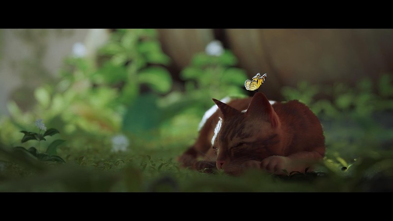 女王大人的新机——无线开机×德静界FX色彩全家桶方案