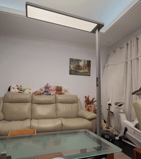 护眼大路灯什么品牌好用点？2025专业又好用的护眼大路灯推荐