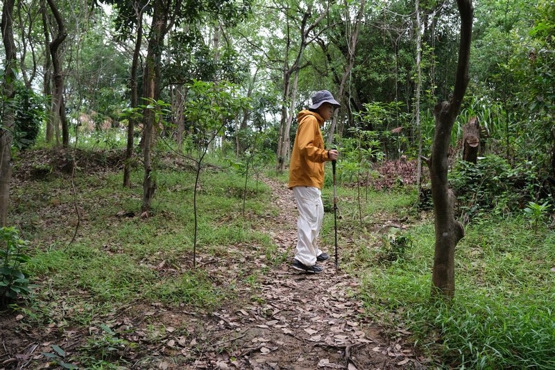 山野间的守护者：天石狼塔冲锋衣深度测评